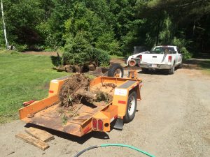 landscape-installation-western-mass