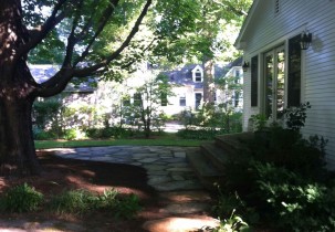 A quiet respite on the shady patio