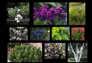Rich plantings, welcoming customers to a place of business