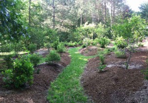 The Discovery Garden, one year after installation, a place to play and explore